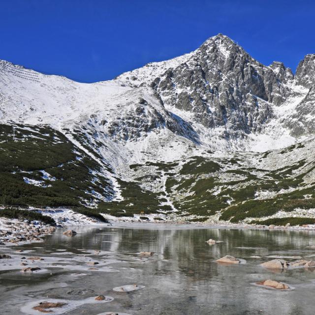 Nov&aacute; Lesn&aacute;