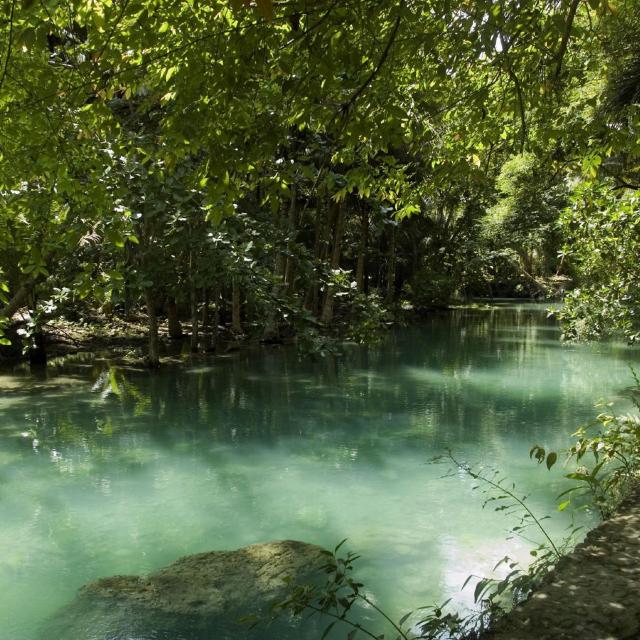 Moalboal