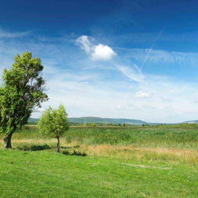 Mosonmagyaróvár