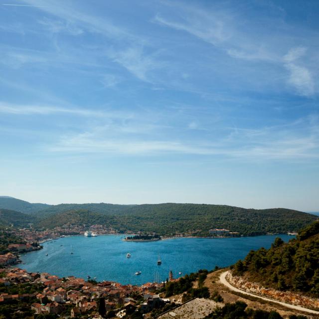 Vis