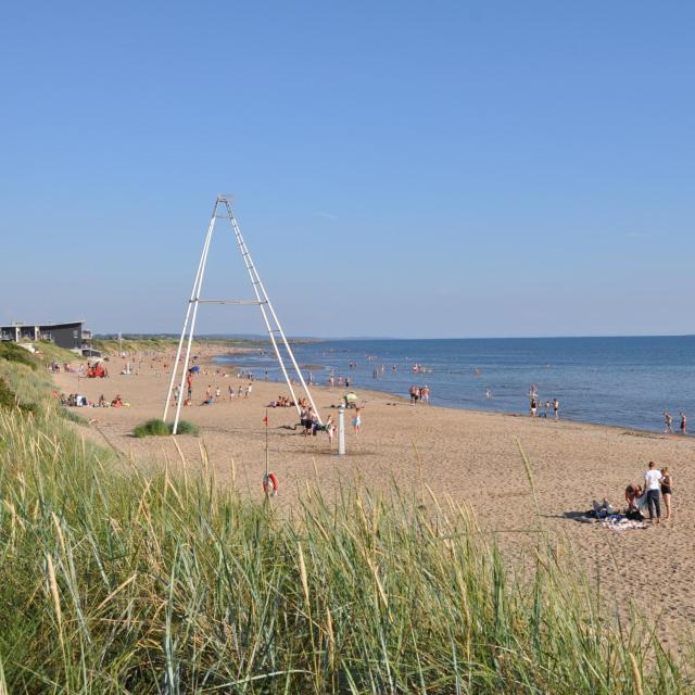 Falkenberg