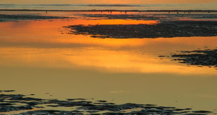 Le Touquet-Paris-Plage