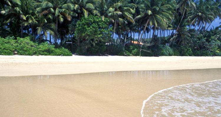Mirissa (jih)