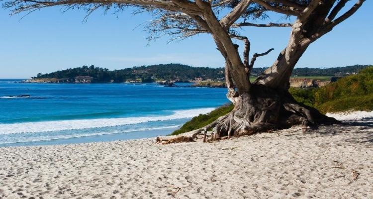 Carmel-by-the-Sea