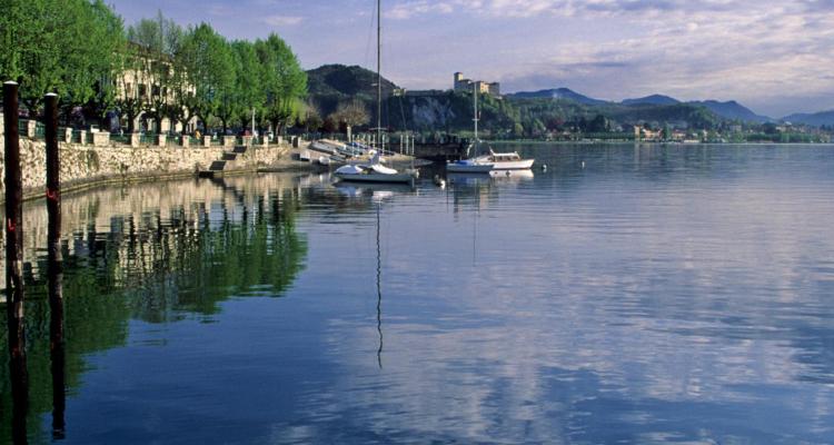 Arona