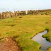 Alojamientos en la playa en Westernieland