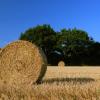 Hoteles con parking en Hamfelde in Holstein