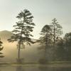 Cottages in Cashiers