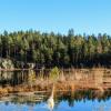 Parkimisega hotellid sihtkohas Nuuksio