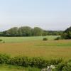 Cottages in Sidlesham