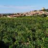 Hotels amb aparcament a Châteauneuf