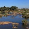 Hotel di Marloth Park