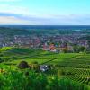 Hotell med parkering i Sasbach am Kaiserstuhl