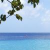 Lagun