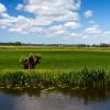 Помешкання для відпустки у місті Baambrugge