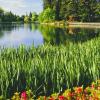 Holiday Homes in Forest Grove