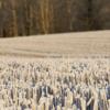 Дешеві готелі у місті Skjetten