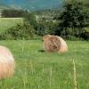 Quillan