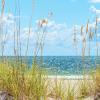 Holiday Rentals in Butler Beach