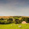 Cottages in Ravenstonedale