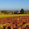 Familiehoteller i Chassagne-Montrachet