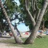 Hotels with Parking in Anse aux Pins