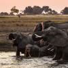 Hoteles con parking en Chobe