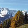 Resorts de esquí en Celledizzo