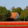 Holiday Homes in Middelharnis