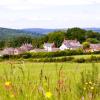 Cottages in Bream