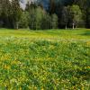 Hoteles familiares en Niederstocken 