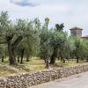 Hoteles con piscina en San Terenziano