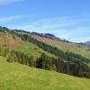 Pet-Friendly Hotels in Wergenstein