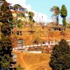 Hoteles en Mirik