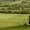 Hoteles familiares en Bennettsbridge