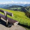 Pet-Friendly Hotels in Kulm