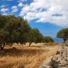 Casas y chalets en Pigi