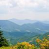 Cottages in Cullowhee