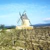 Ferieboliger i Sallèles-Cabardès