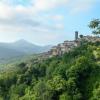 Pet-Friendly Hotels in Castelnuovo di Val di Cecina