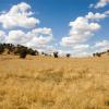 Glen Innes