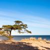 Kolka