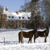 Family Hotels in Paray-le-Frésil