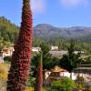 Cottages in Vilaflor