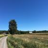 Cabañas y casas de campo en Herrljunga