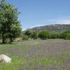 Hoteles con estacionamiento en Vallfogona de Riucorb