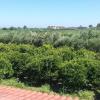 Holiday Rentals in Mirto Crosia