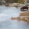 فنادق مع موقف سيارات في Grietjie Game Reserve