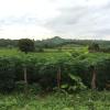 Banlung