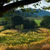 Casas y chalets en Tourtour